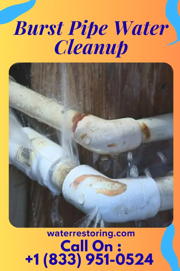 Burst Pipe Water Cleanup in Quantico, VA