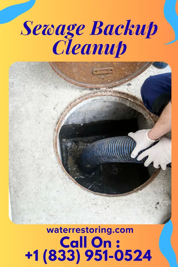 Sewage Backup Cleanup in Quantico, VA