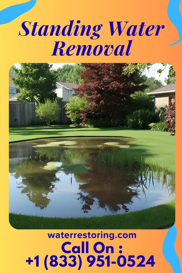 Standing Water Removal in Quantico, VA
